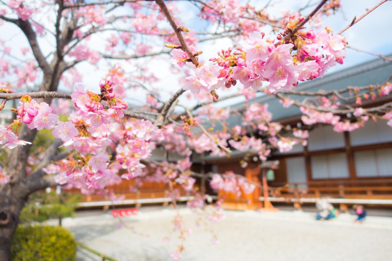 Stay Sakura Kyoto Shijo Karasuma מראה חיצוני תמונה