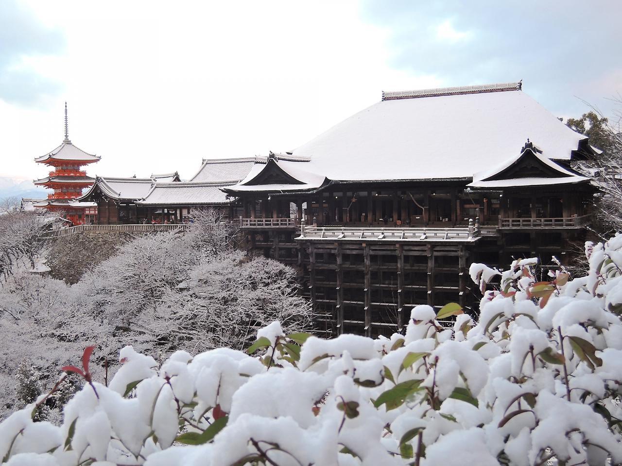 Stay Sakura Kyoto Shijo Karasuma מראה חיצוני תמונה